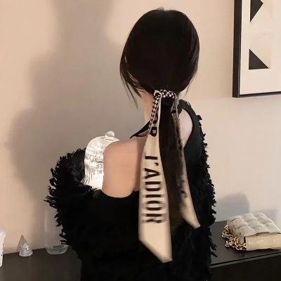 星光大盗